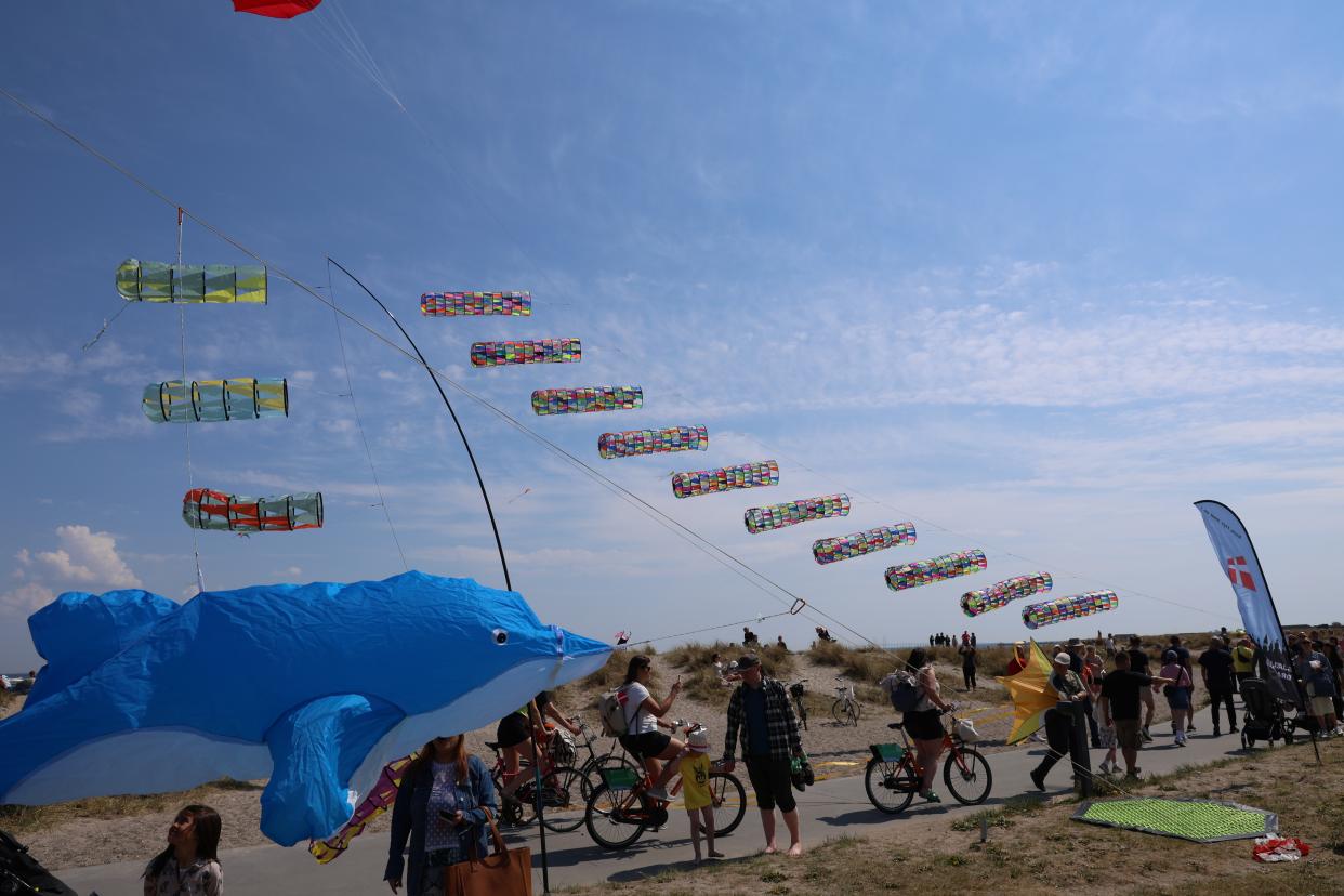 Drager på stranden