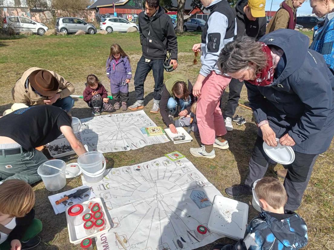 Familier på krible-krable tur