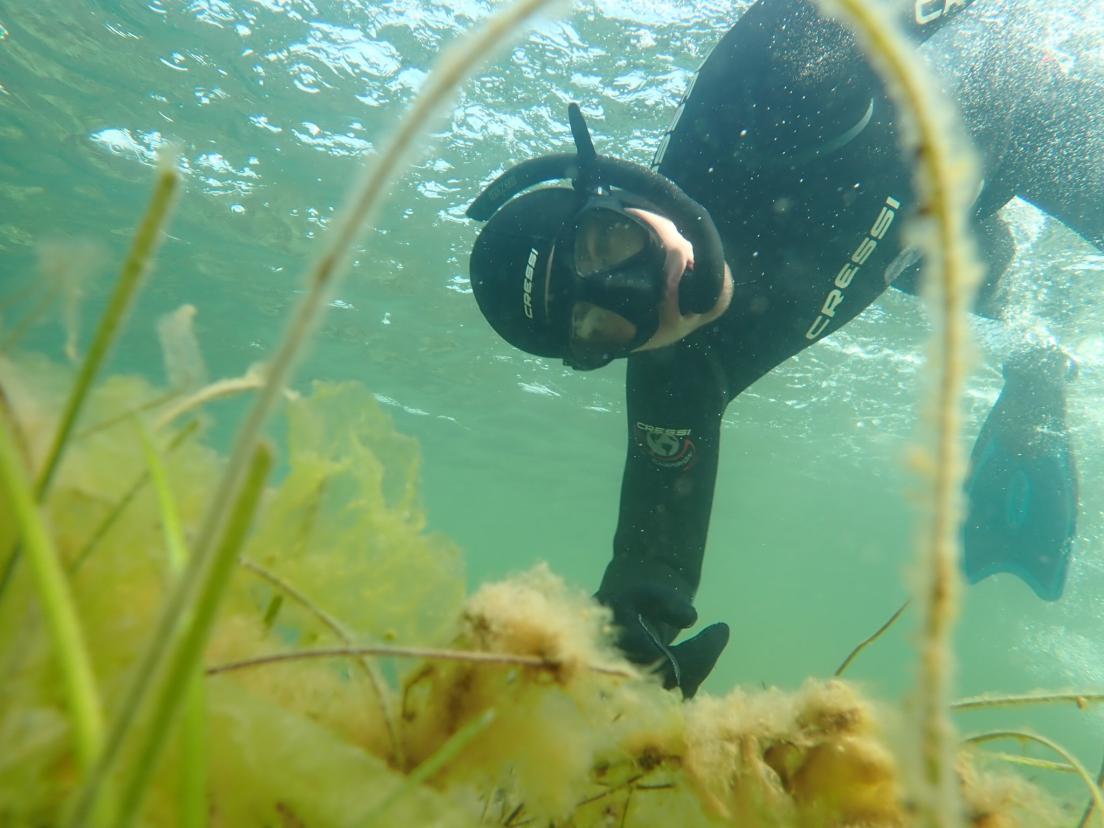 Snorkeltur