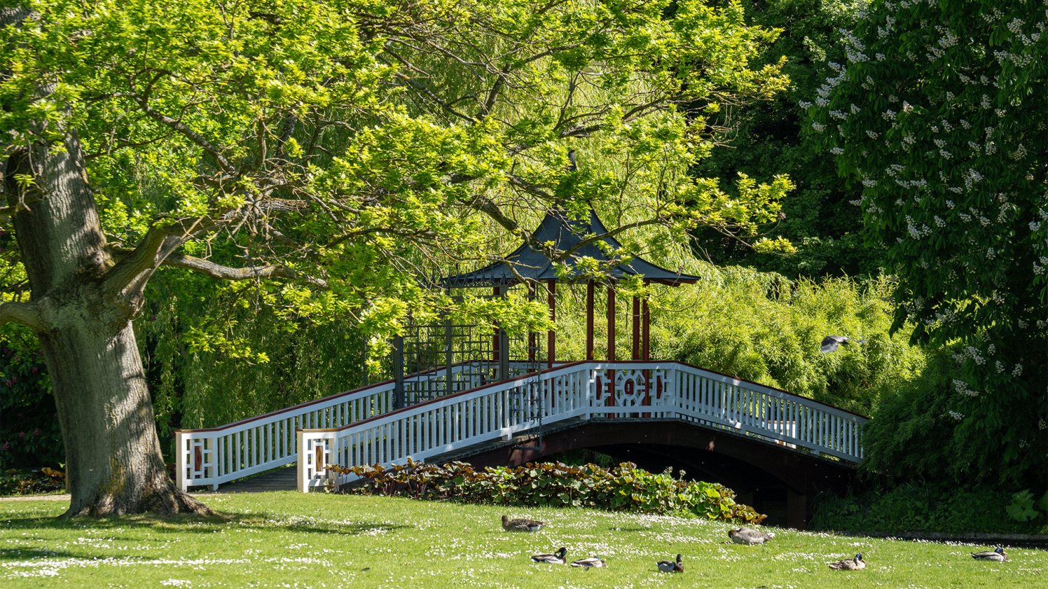 Frederiksberg have, bro