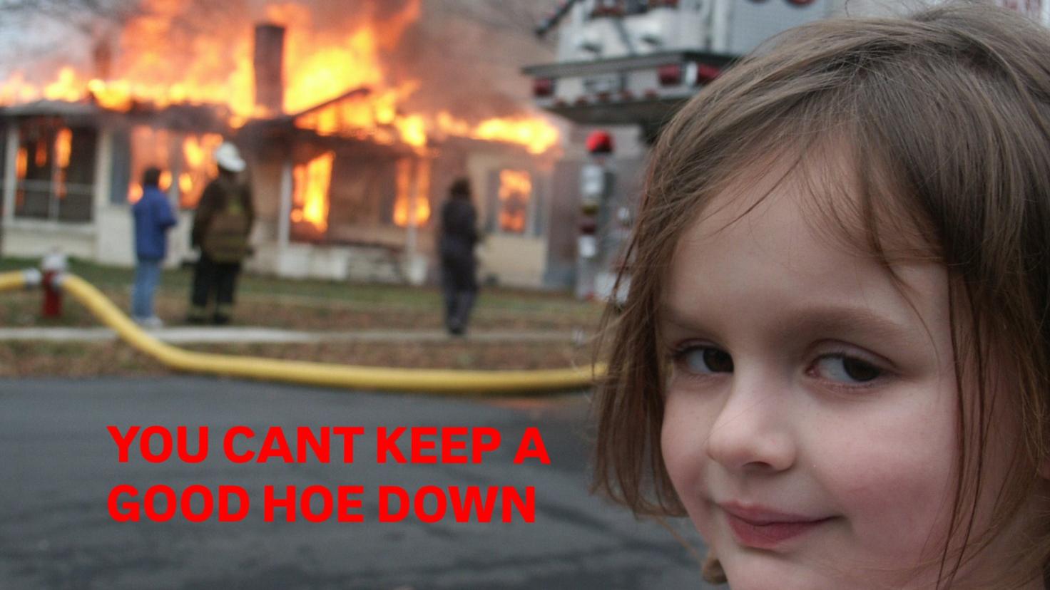 You Can't Keep A Good Hoe Down