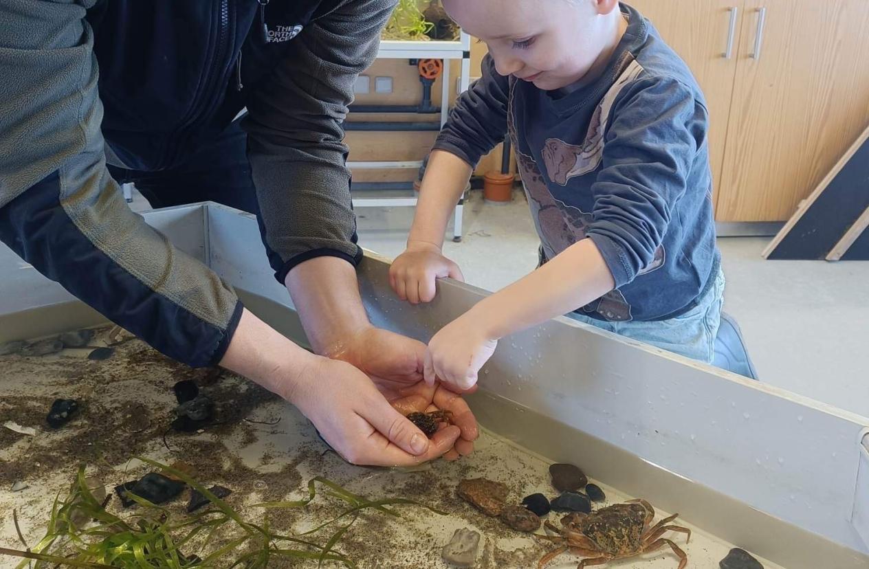 Rørebassin med krabber